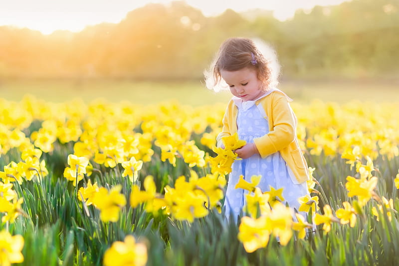 Little girl, little, daffodils, yellow, spring, girl, flower, copil, child, field, HD wallpaper