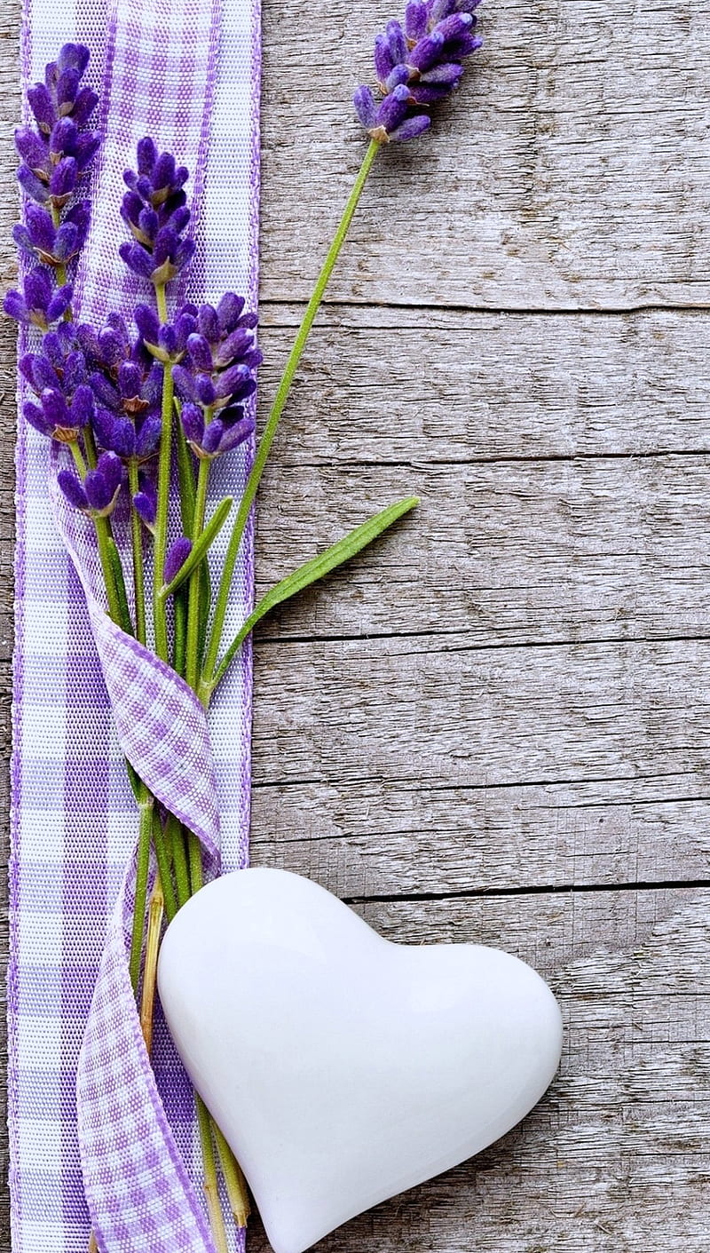 Lavander Heart, flower, love, purple, HD phone wallpaper