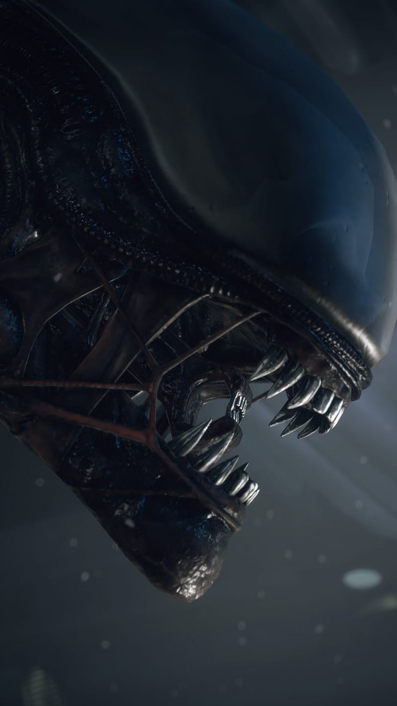 Alien, 3d, best, cool horror, new, prometheus, space, super, xenomorph, HD phone wallpaper