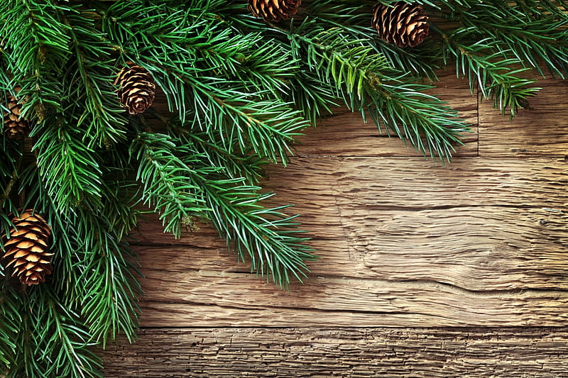 Merry Christmas!, craciun, green, christmas, pine cone, new year, wood, card, HD wallpaper