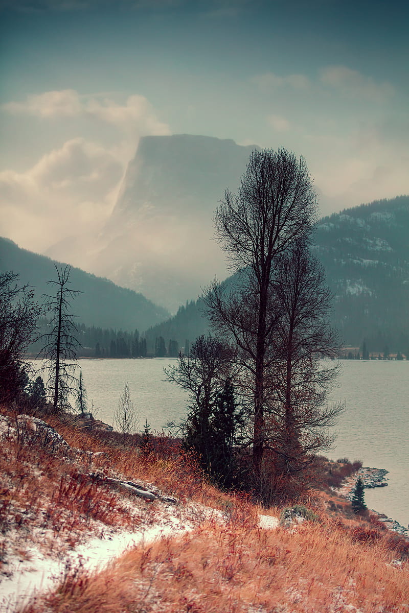 lake, trees, mountains, shore, fog, landscape, HD phone wallpaper