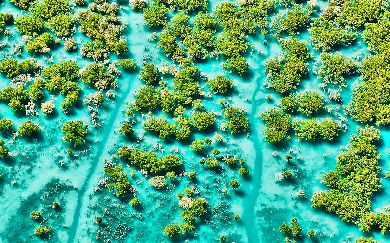 Australia, aerial view, bushes in the water, sea, blue water, harbot, blue bay, HD wallpaper