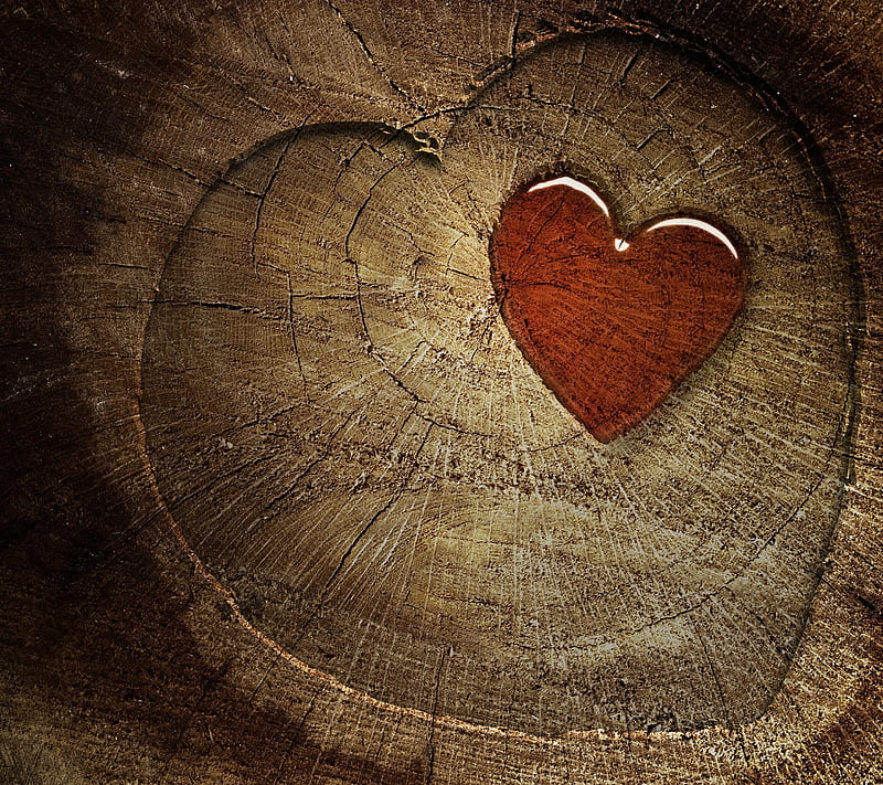 Love, heart, wood, wooden, HD wallpaper