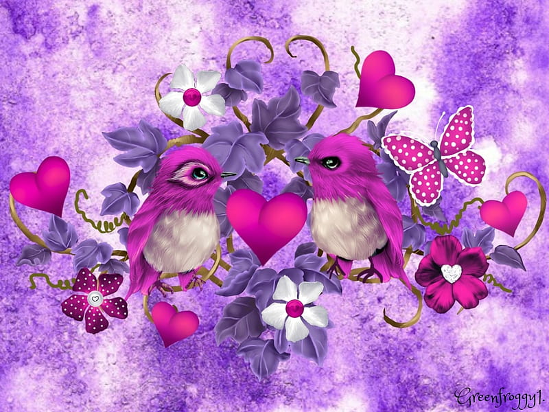Love Birds Beautiful Hd Wallpaper 8462  Wallpapers13com
