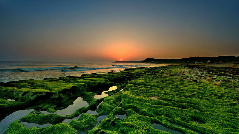 Horizon Seascape During Sunset Nature, HD wallpaper