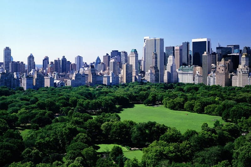 New York Central Park, nature, park, HD wallpaper