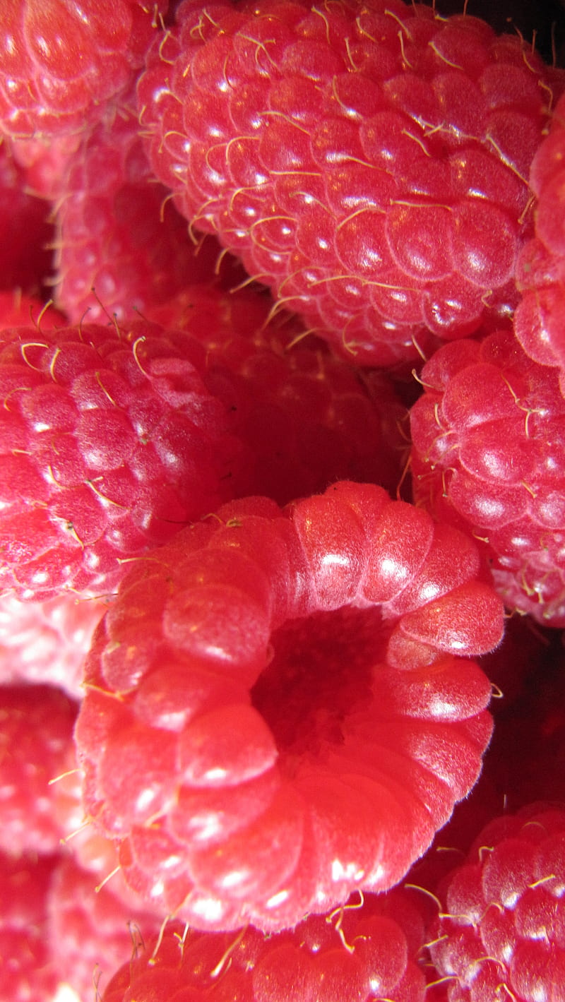 Raspberry, red, spring, sweet, HD phone wallpaper