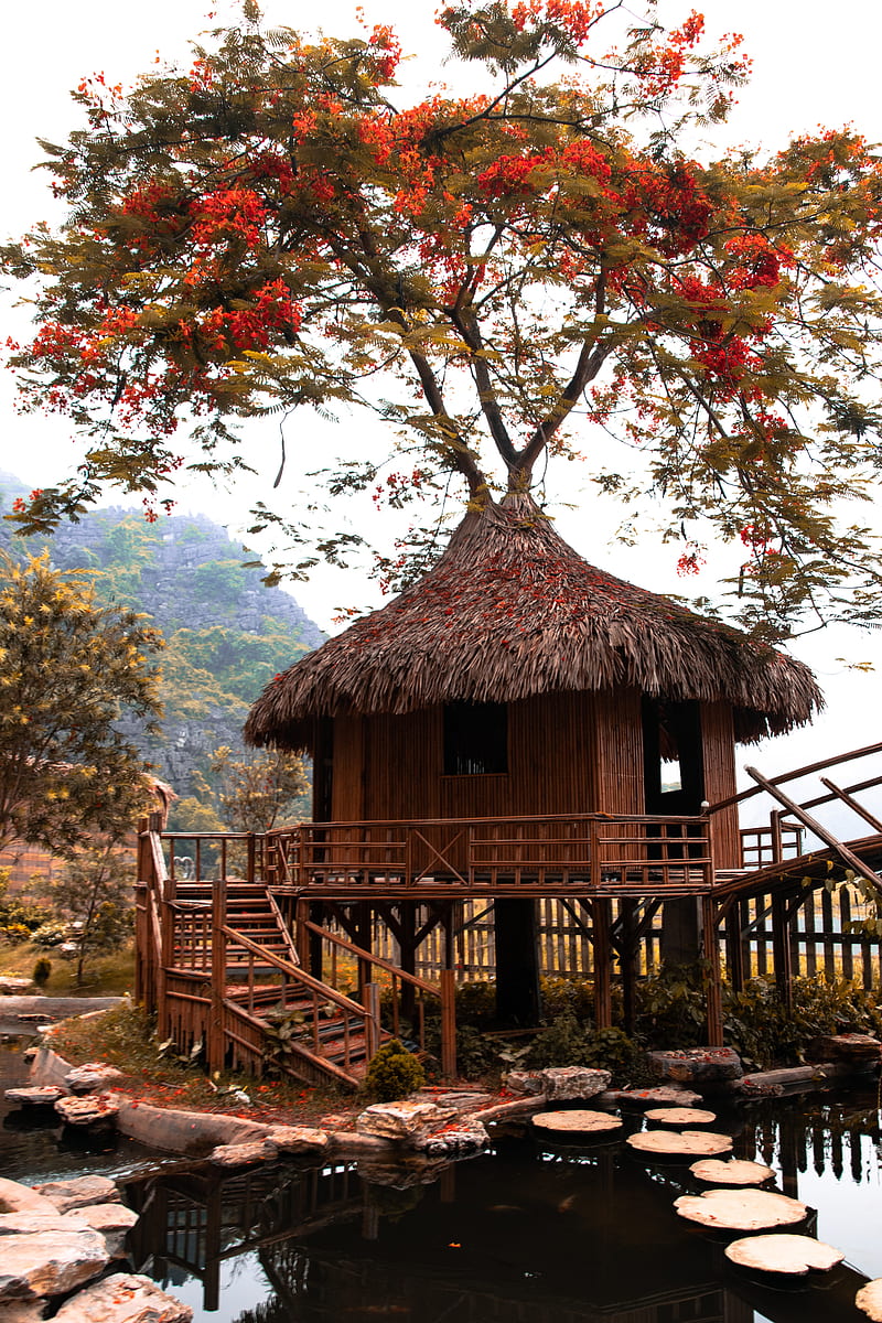 bungalow, hut, lake, architecture, HD phone wallpaper