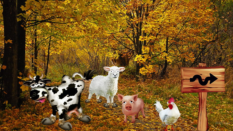Are You Sure This is the Way?, rooster, fall, cow, pig, autumn, chicken, sign, firefox persona, sheep, leaves, hog, trail, color, road, HD wallpaper