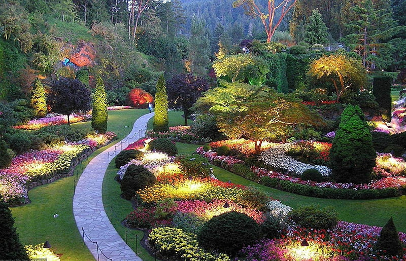 Park Lane, plants, flowers, path, garden, trees, HD wallpaper | Peakpx