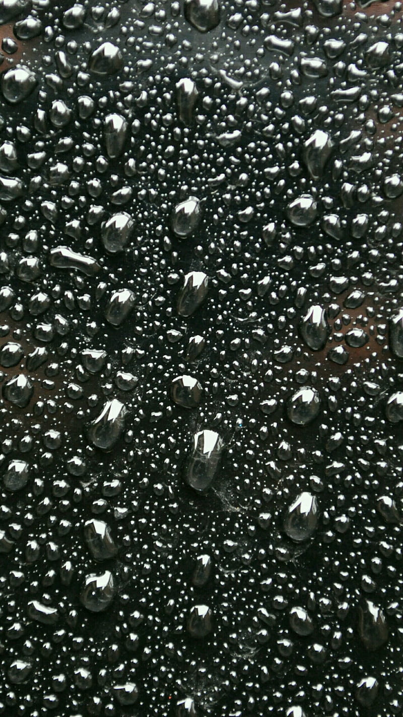Water Droplets , black, drop, drops, rain, raindrops, water, white, HD phone wallpaper