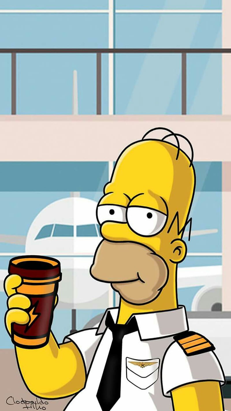 Home aviation, aviation, homer, the simpsons, HD phone wallpaper