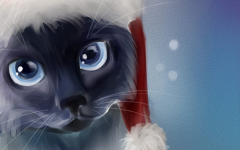 Merry Christmas!, red, art, cat, animal, hat, santa, fantasy, apofiss, painting, white, blue, HD wallpaper