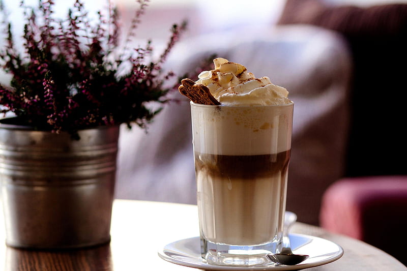 Latte Macchiato, Coffee, Plant, Glas, Delicious, HD wallpaper