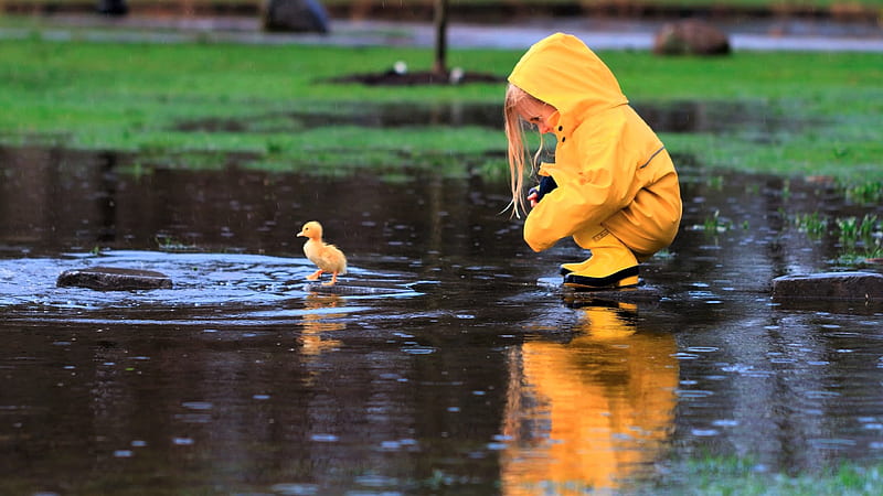 Cute Little Girl Is Playing With Yellow Duck Wearing Yellow Raincoat Cute, HD wallpaper