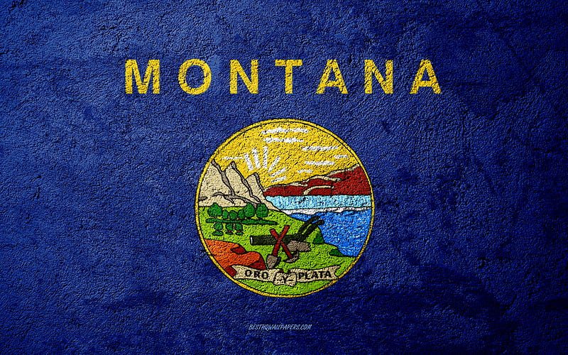 Flag of State of Montana, concrete texture, stone background, Montana flag, USA, Montana State, flags on stone, Flag of Montana, HD wallpaper
