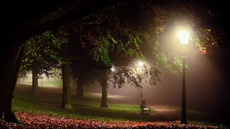 Melancholia, red, grass, bench, trees, Nocturnal, lights, leaves, parks, green, landscapes, gardens, white, HD wallpaper