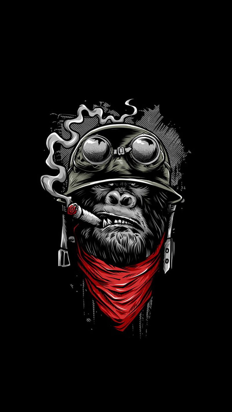 monkey, ape, smoke, helmet, HD phone wallpaper