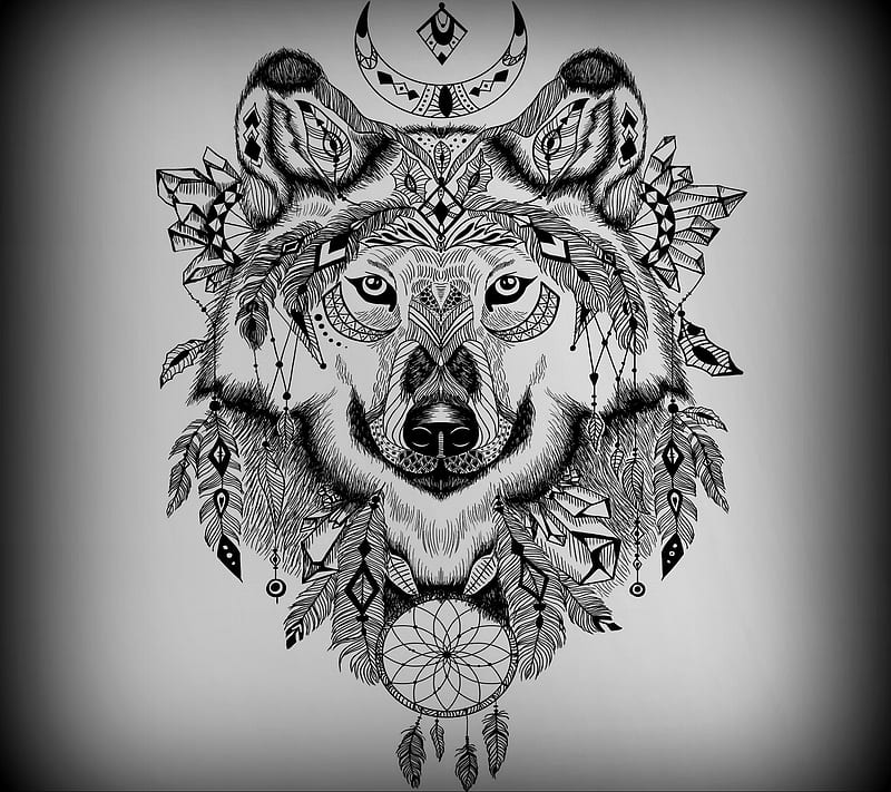 Wolf, abstract, animal, art, paint, vector, HD wallpaper