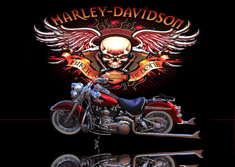 BIKER TO THE BONE, MOTORCYCLE, SPOKES, HARLEY, BIKE, HD wallpaper