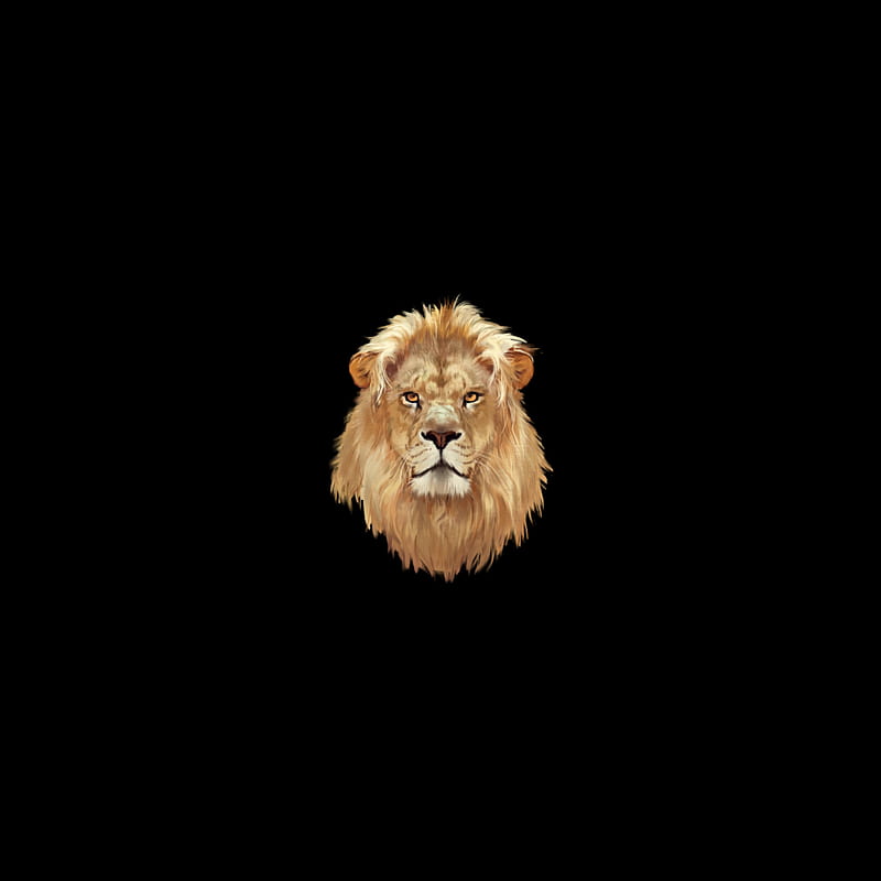 Lion, anniversary, black, brown, couple, face, faces, king of the jungle, lions, smiles, HD phone wallpaper