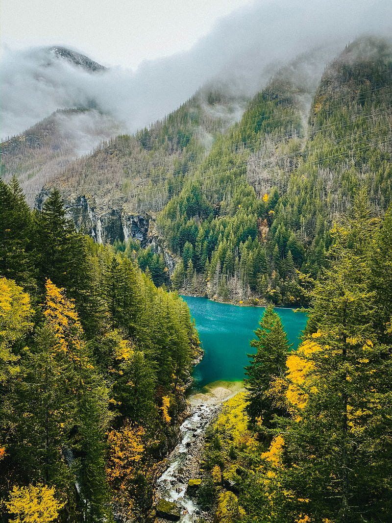 mountains, forest, lake, valley, landscape, HD phone wallpaper