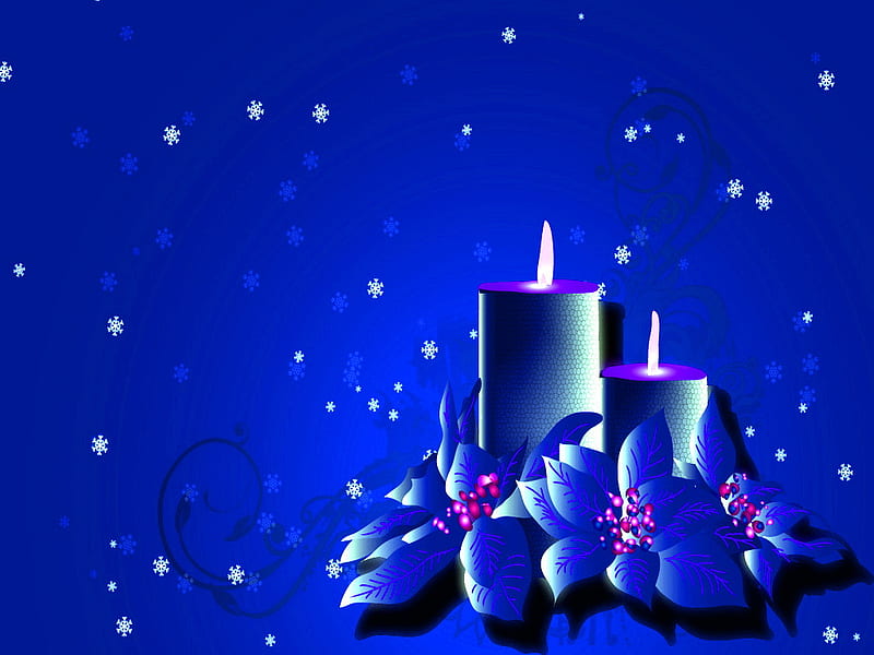 Candles blue, stars, flames, christmas, flowers, blue, candles, light ...