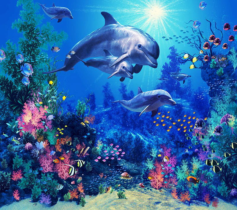 Underwater, HD wallpaper