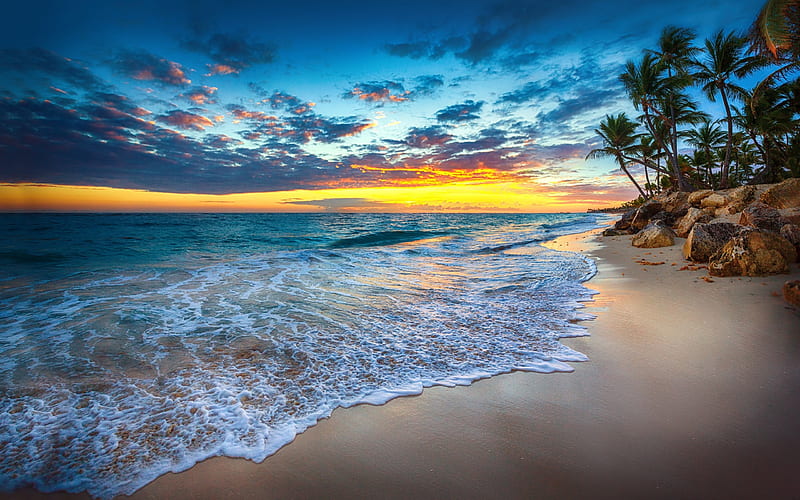 tropical islands, ocean, golden sunset, beach, palm trees, waves, HD wallpaper