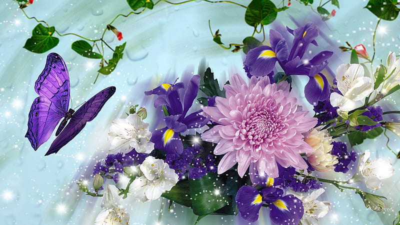 April Showers, pink astor, butterfly, purple iris, shower, vines, spring,  rain, HD wallpaper | Peakpx