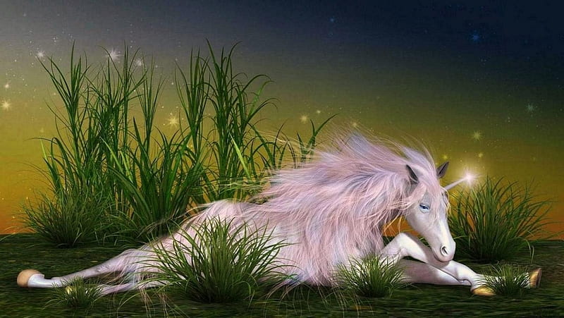 'Pretty little unicorn'...., mystical, magical, unicorns, animals, horses, HD wallpaper