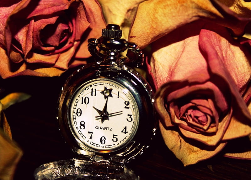 Withering Away, flowers, watch, time, withering, HD wallpaper | Peakpx