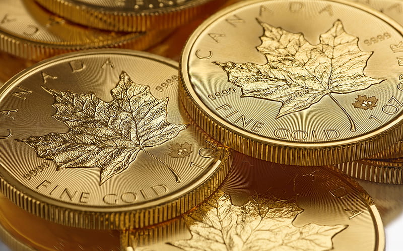 Canadian Gold Maple Leaf, gold bullion coin, gold coins, canadian gold, 9999 millesimal fineness, 24 carats coin, Royal Canadian Mint, finance concepts, gold, HD wallpaper