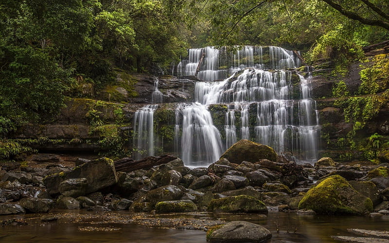 liffey falls, tasmania, lake, stream, rock, of liffey falls, australia, HD wallpaper