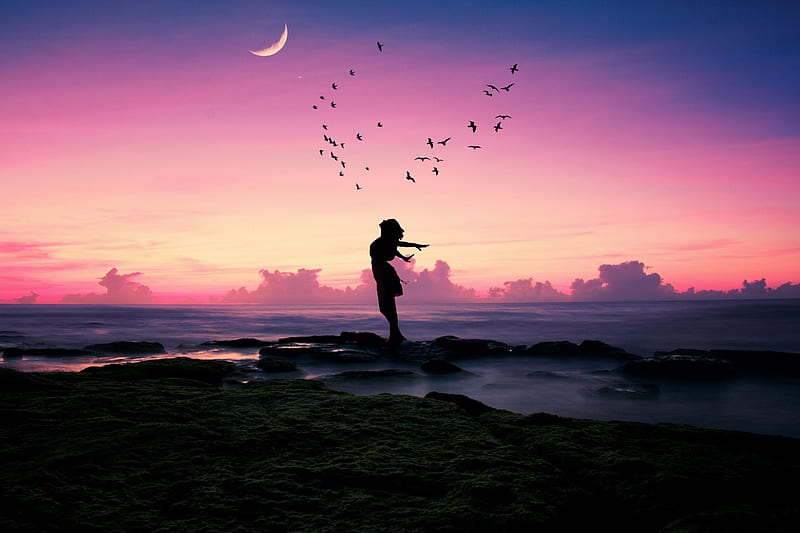 The flight of the soul, Girl, Birds, Sunset, Silhouette, Moon, HD ...