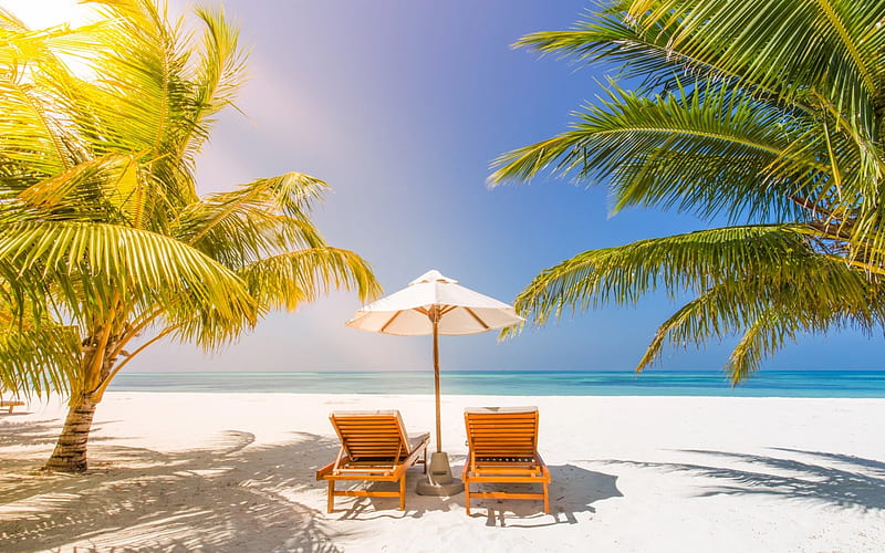 beach chairs, tropical island, palm trees, summer vacation, blue lagoon, azure, ocean, HD wallpaper