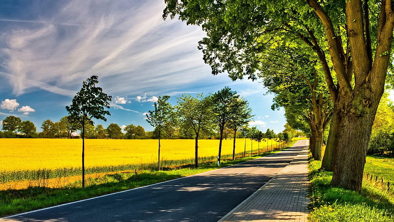 Road Path Between Green Trees Under Cloudy Sky Nature, HD wallpaper