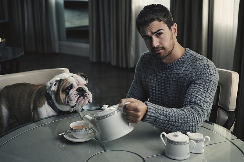 Theo James, cup, morning, funny, man, tea, actor, dog, caine, HD wallpaper