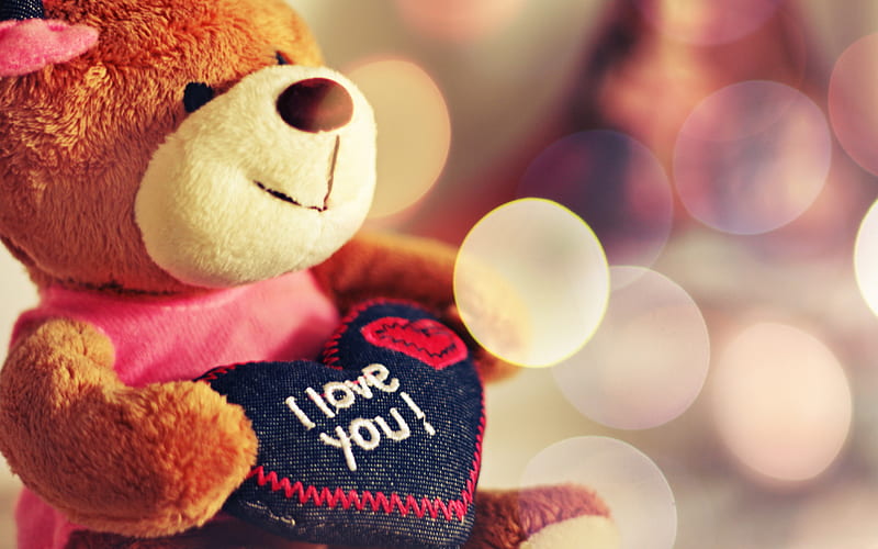 Love Teddy, bear, cute, i love you, shiam, shifu, shimu, you, HD wallpaper