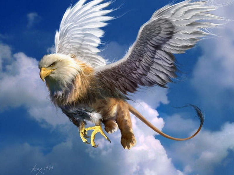 Gryphon / Griffin, gryphon, mystery, fantasy, greif, gryphon in clouds, griffin, fantasy art, HD wallpaper