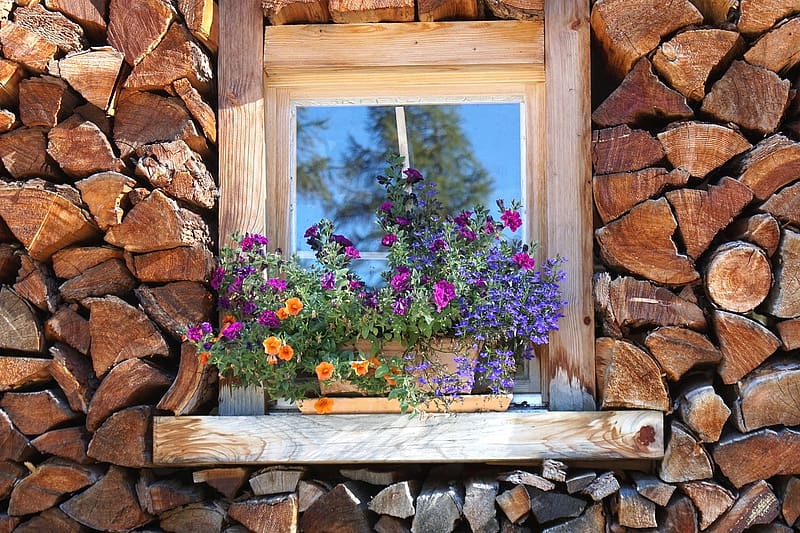 Window between woodwork, tuzifa, ablak, viragok, halom fa, ablakparkany, HD wallpaper