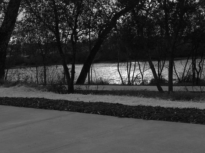 Sacramento River, black and white, cement, river, grass, HD wallpaper