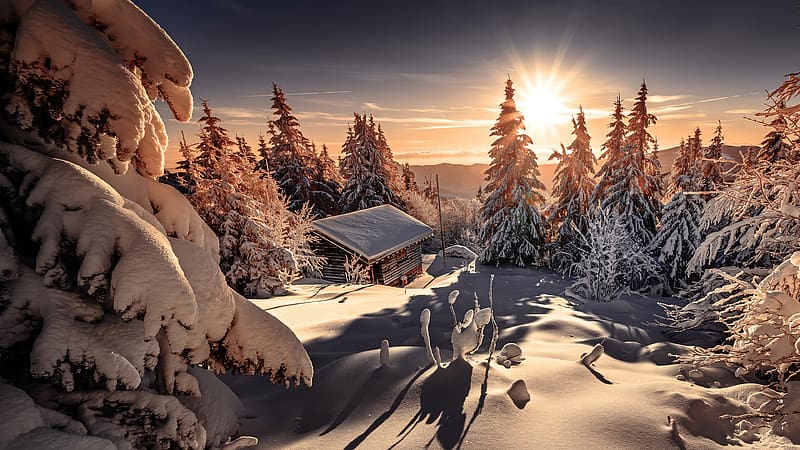 Winter sun, sun, cabin, mountain, rays, winter, frost, slope, beautiful, hut, snow, trees, cottage, HD wallpaper