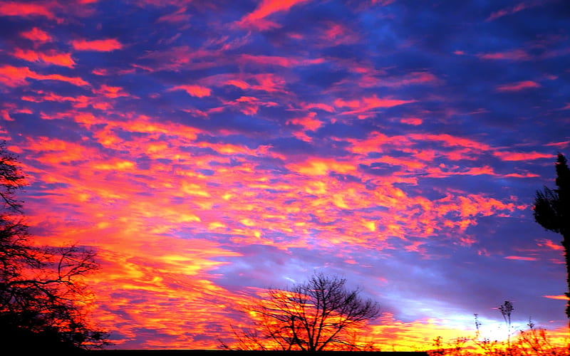 Its Hot For Me, amazing, trees, clouds, ember, sky, blue, HD wallpaper ...