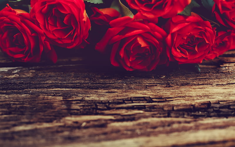 red roses, romance, old wooden boards, rosebuds, red flowers, HD wallpaper
