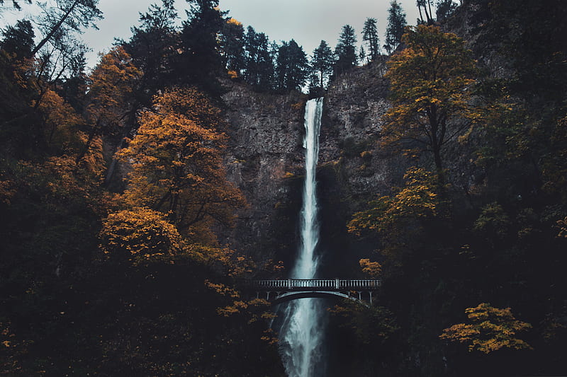 waterfall, bridge, scenery, calm, trees, forest, Nature, HD wallpaper