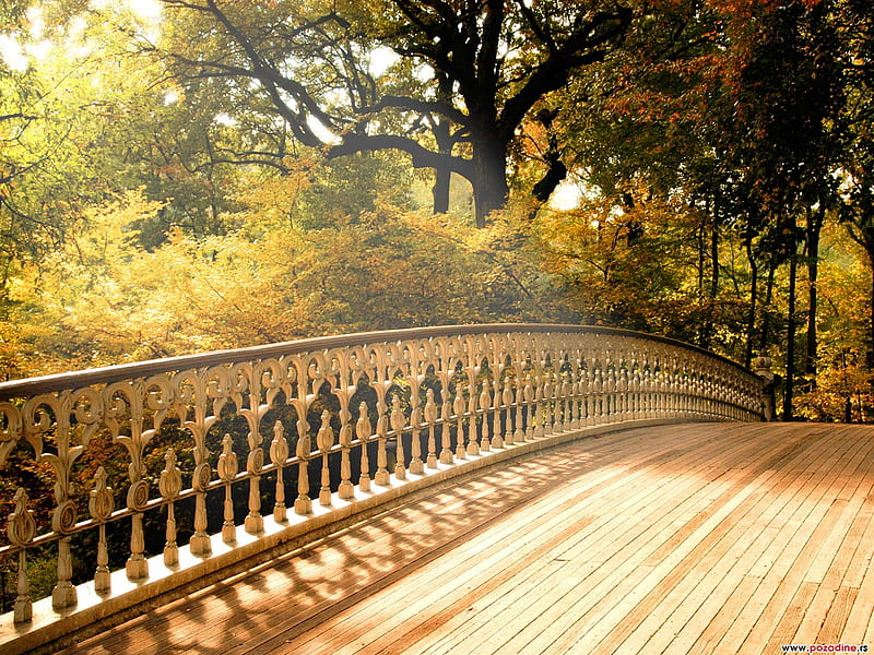 Bridge, autumn, leaves, yellow, trees, tan, sky, wood, HD wallpaper