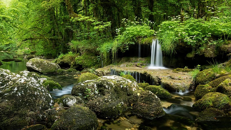 Small waterfall in green forest, summer, waterfall, greenery, trees, beautiful, stream, stones, HD wallpaper