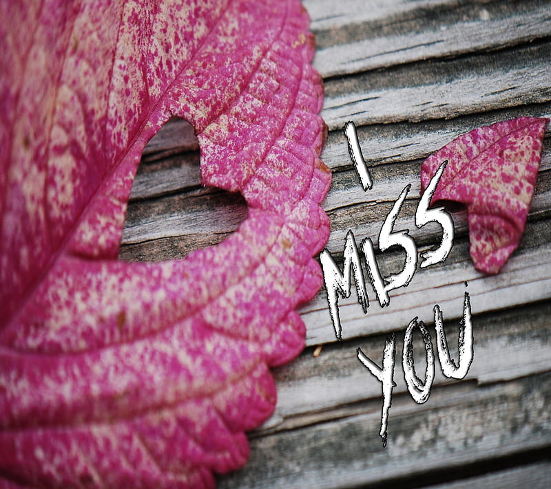 I Miss You, leaf, love, missing, new, HD wallpaper
