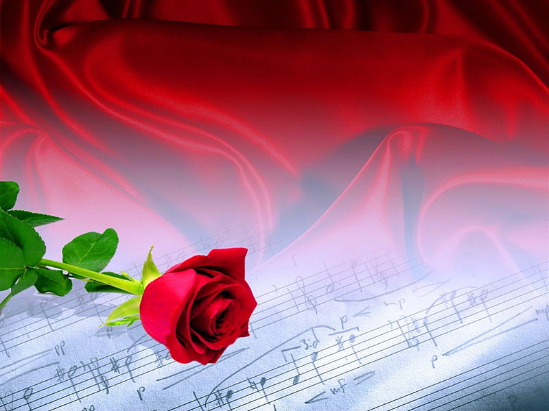 Love song, beauty, red, rose, music, HD wallpaper | Peakpx